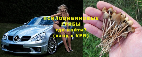 а пвп мука Мегион