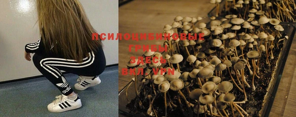 а пвп мука Мегион