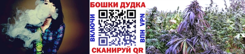 Бошки Шишки тримм  Купить закладки  Оленегорск 